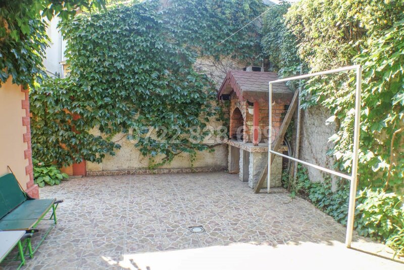 Tineretului parc,  Serban Voda.