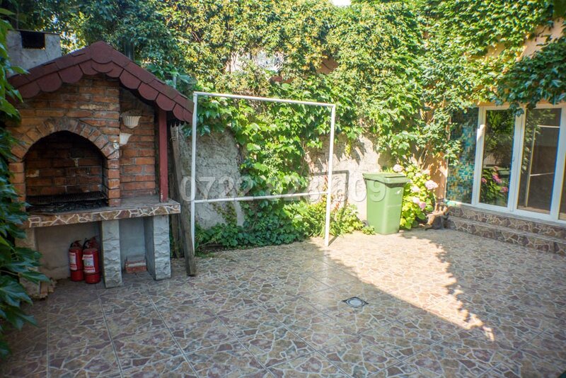 Tineretului parc,  Serban Voda.